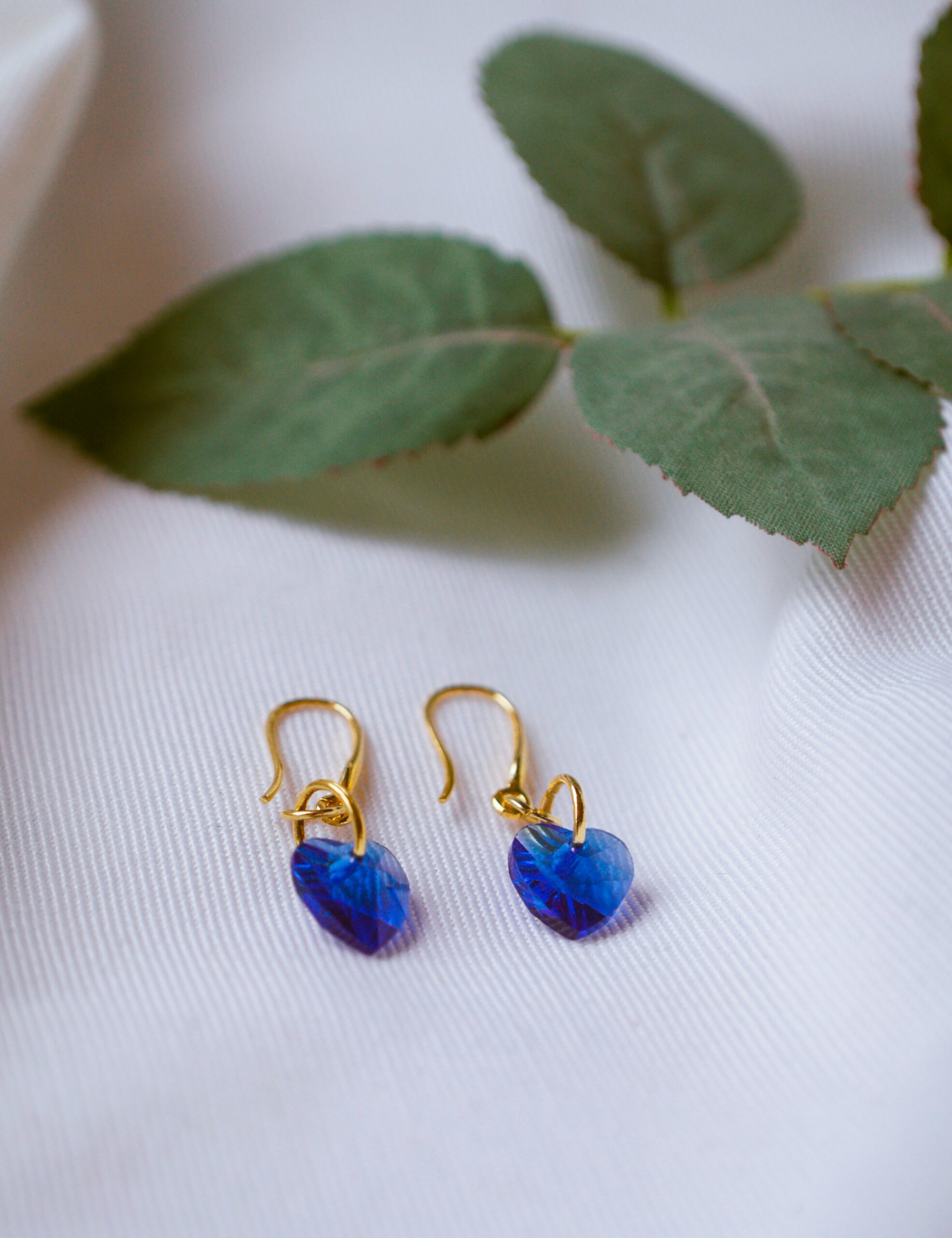 valentina-jorio-zg3oZjdSoDY-unsplash